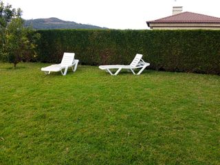 Tumbona jardín