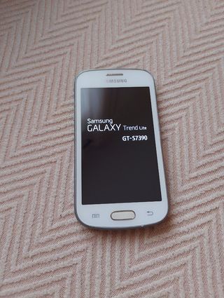 Samsung Galaxy GT-S7390