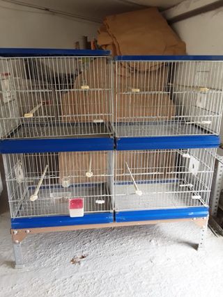 Jaula modular y accesorios aviario