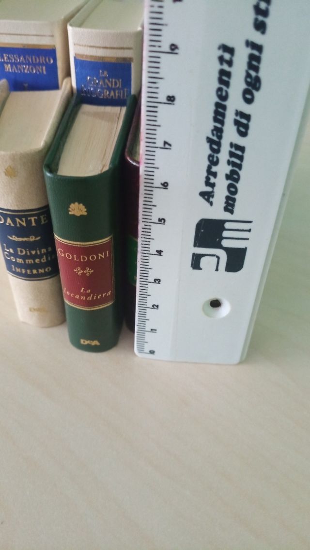 Libri in miniatura