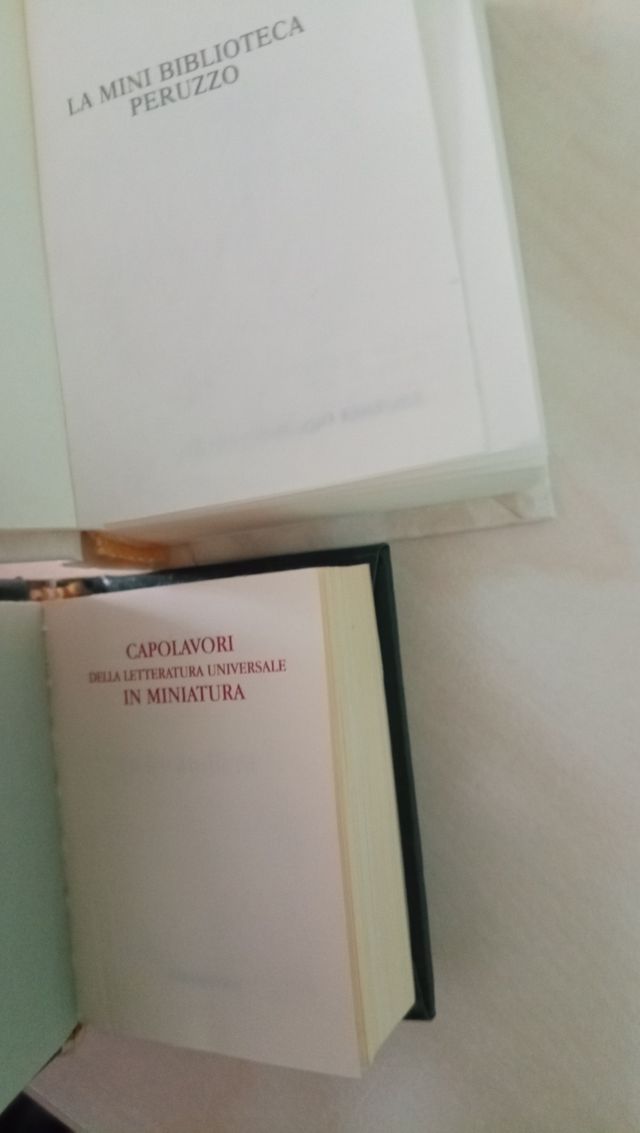 Libri in miniatura