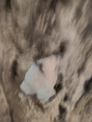 Abrigo piel con tara