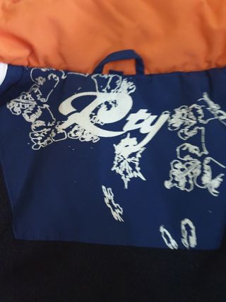 Chaqueta de la nieve