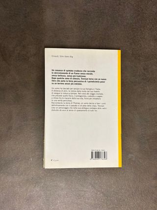 Il ponte. Un crollo