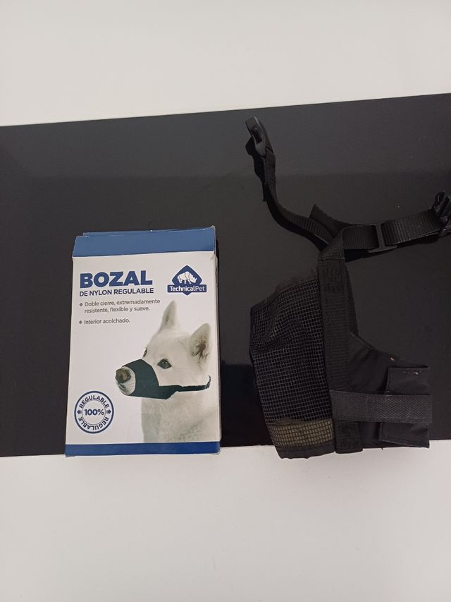 Bozal mascota perro