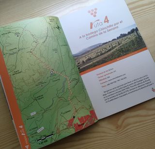 C RUTAS POR LAS BODEGAS DE RONDA.Senderismo Enolog