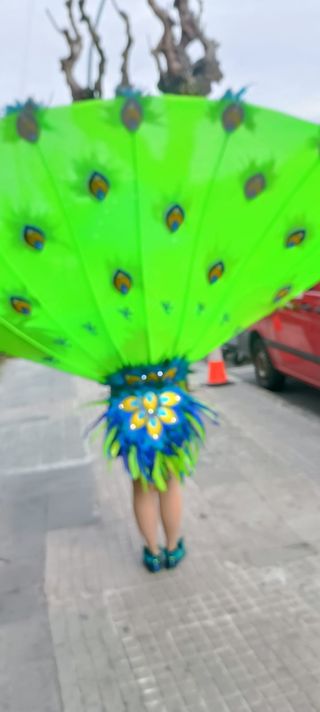 Disfraz pavo real