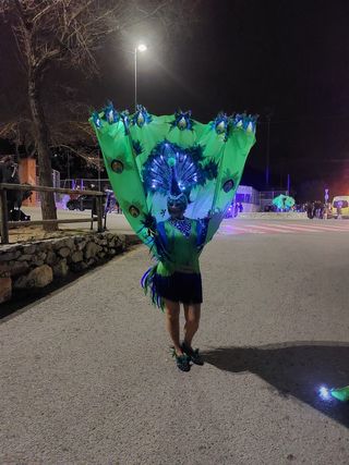 Disfraz pavo real