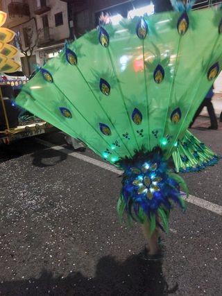 Disfraz pavo real