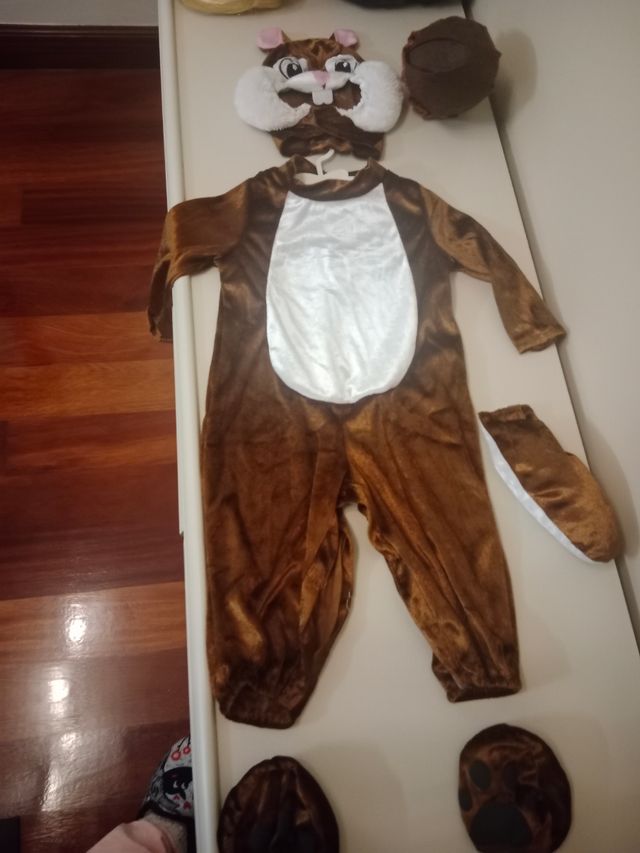 Disfraz ardilla