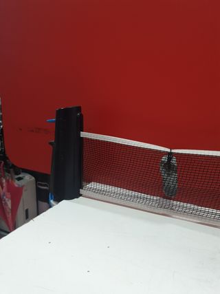 RED EXTENSIBLE PING PONG