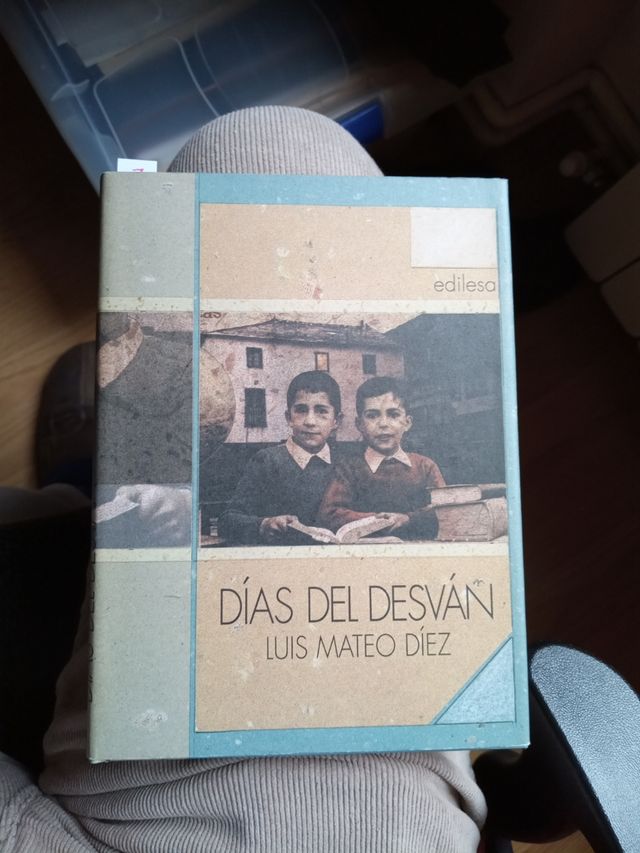 DÍAS DEL DESVÁN