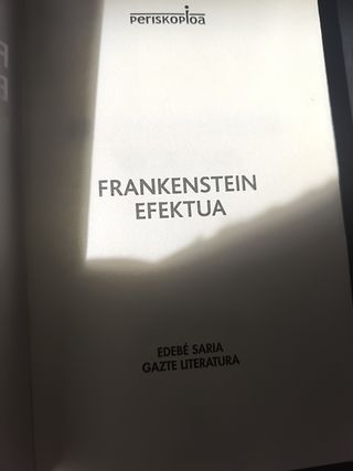 FRANKENSTEIN Efektua (Premio EDEBÉ de Literatura Juvenil 2019)