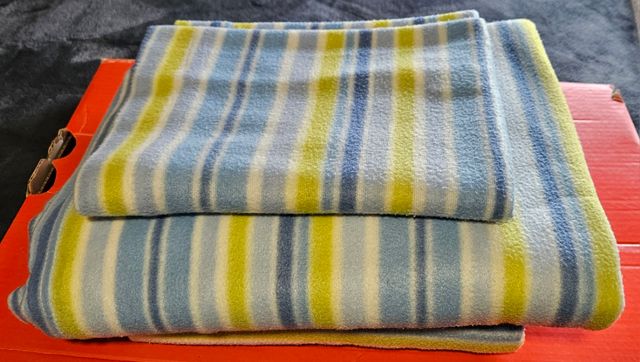 Juego de Sabanas de Franela cama de 90