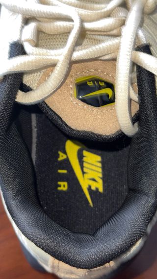 Nike Air Max Plus