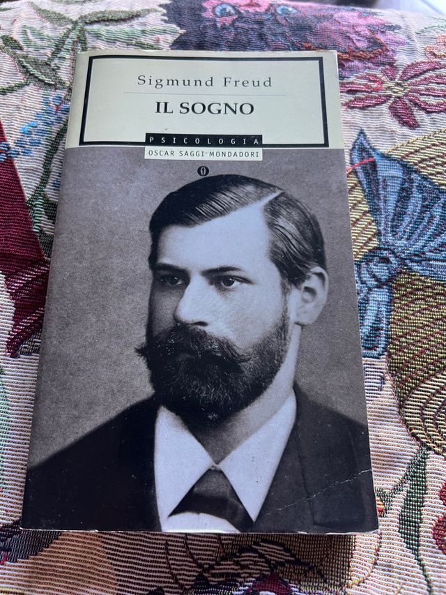 Il sogno