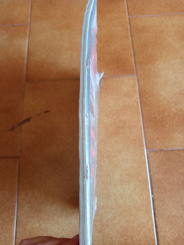 Max Al Pacino con maestri foto