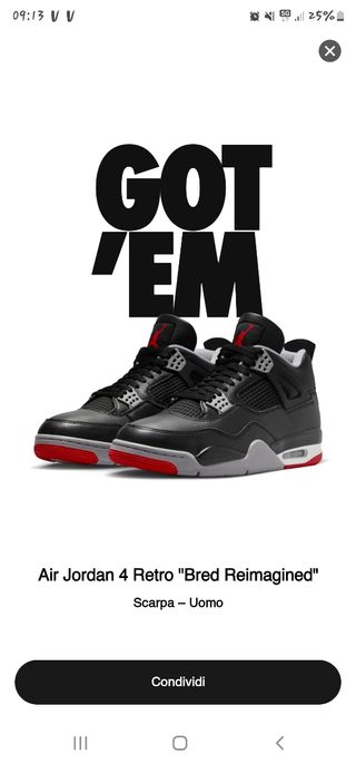 Air jordan 4 retro