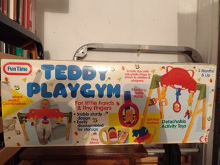 Gimnasio Teddy Playgym