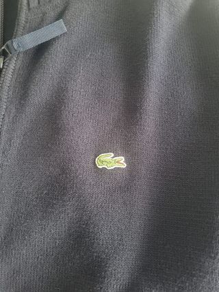 Jersey Lacoste