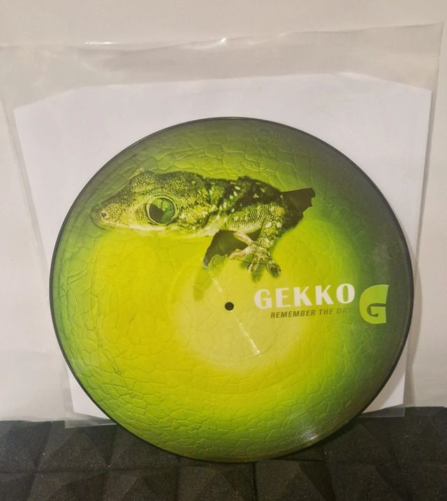 Gekko-Remember The Day