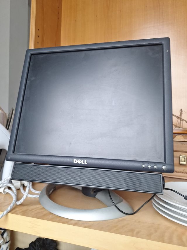 Monitor DELL