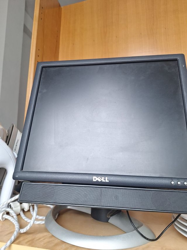 Monitor DELL