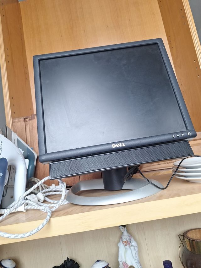 Monitor DELL