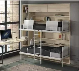 LITERA ABATIBLE EVOLUTION F255