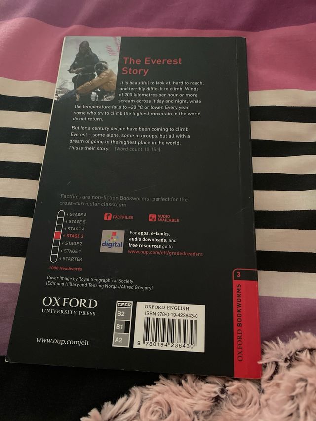 The Everest Story