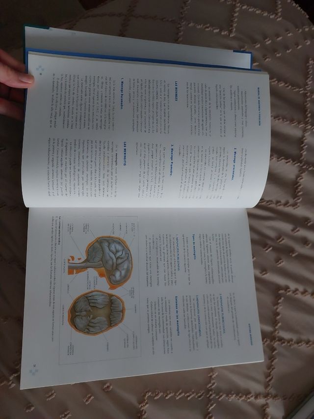 Manual de anatomía y fisiología (Spanish Edition)