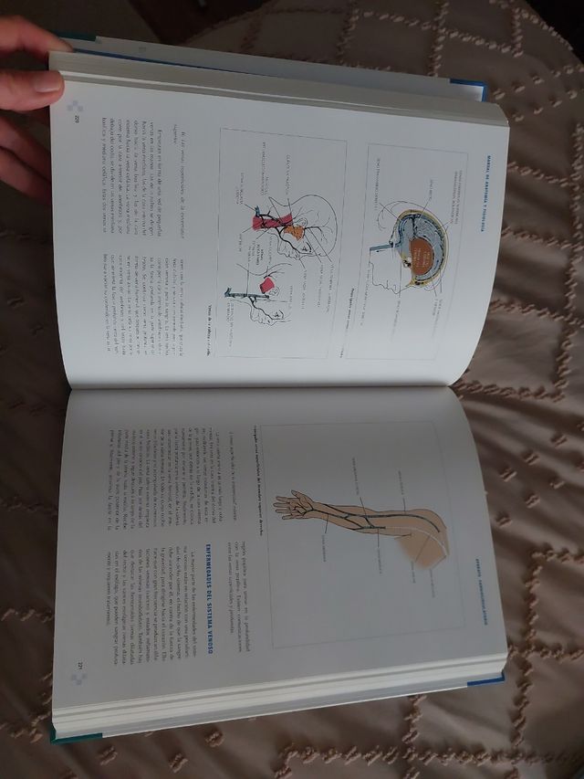 Manual de anatomía y fisiología (Spanish Edition)
