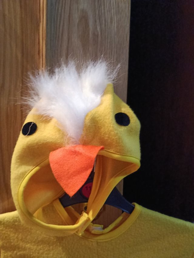 Disfraz pollito talla 5