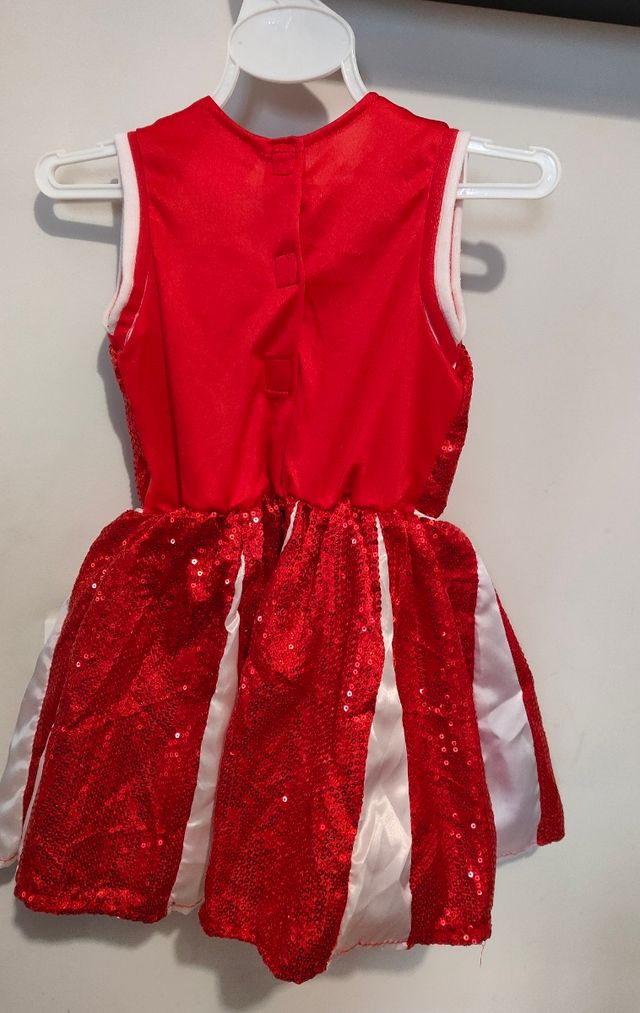 Disfraz animadora 2-4 años