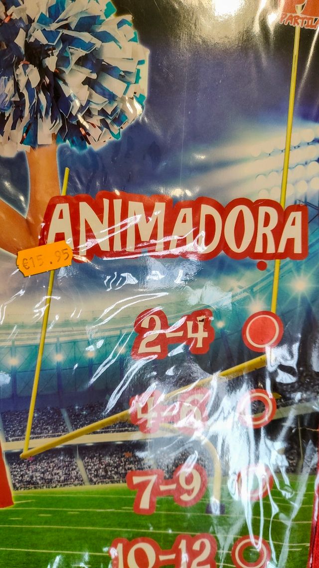 Disfraz animadora 2-4 años