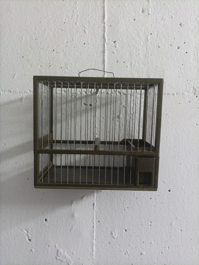 Jaula de pájaros