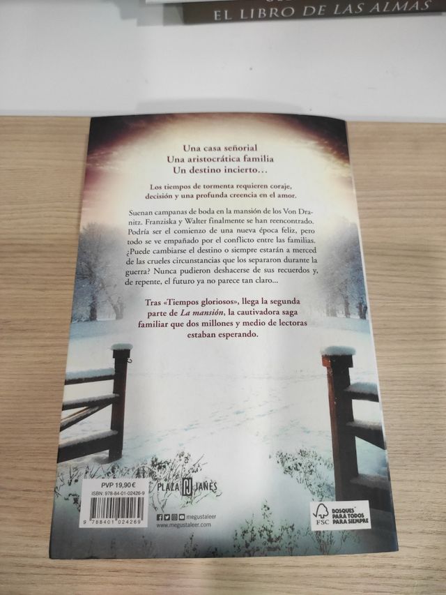 Tiempos de tormenta / Tumultuous Times (LA MANSIÓN) (Spanish Edition)