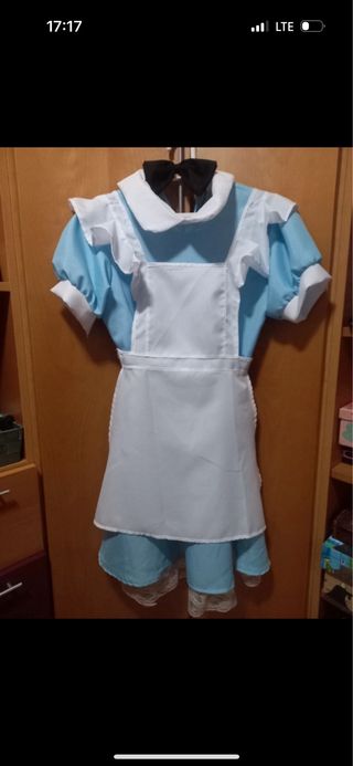 Disfraz alicia en el pais de las maravillas