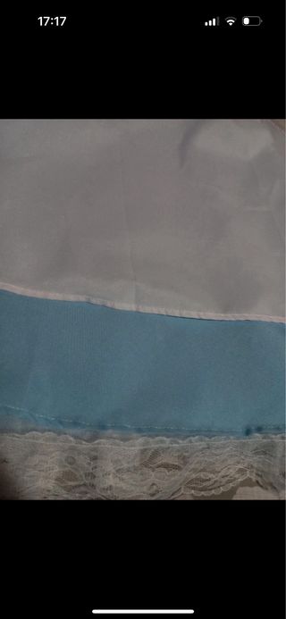 Disfraz alicia en el pais de las maravillas