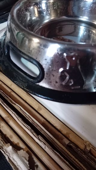 3 ciotole in acciaio per animali