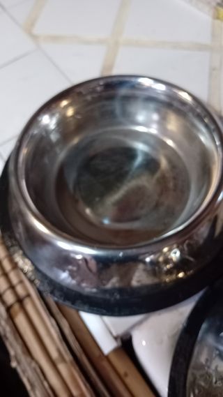 3 ciotole in acciaio per animali