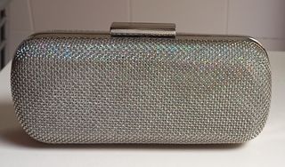 Bolso plateado 