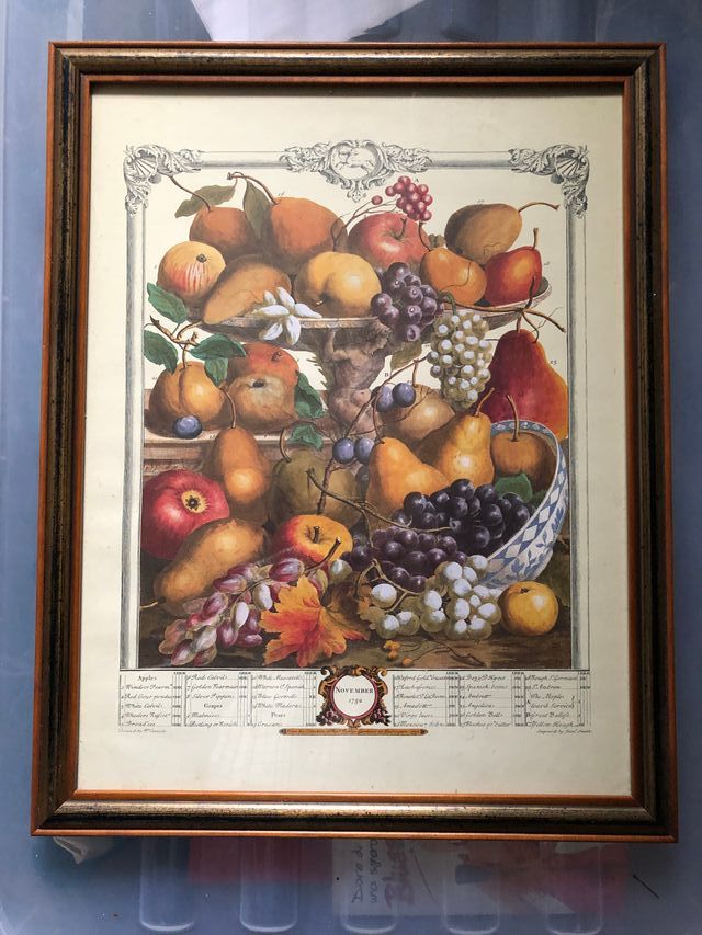 8 cuadros Doce Meses de Frutas Robert Furber 1732