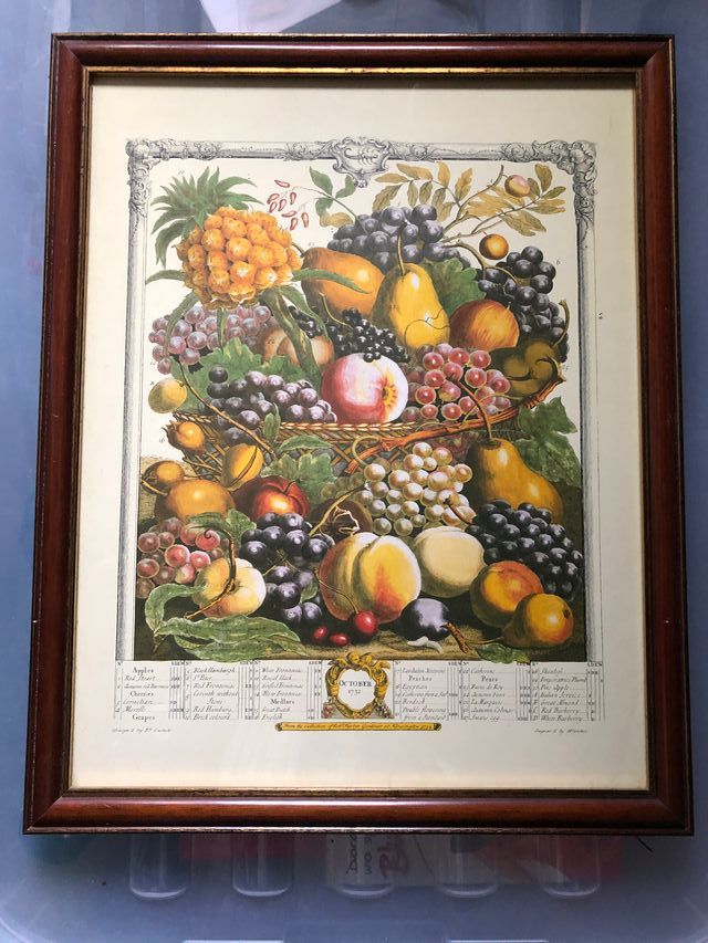 8 cuadros Doce Meses de Frutas Robert Furber 1732