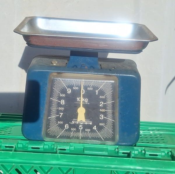 Bascula de cocina, años 70-80