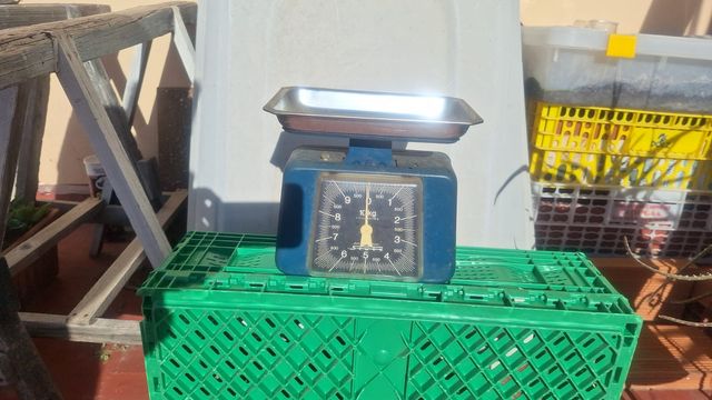 Bascula de cocina, años 70-80