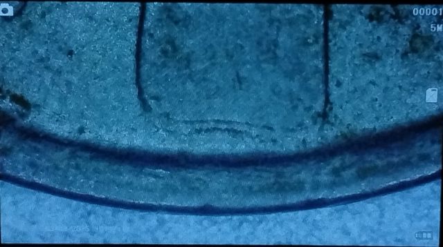 Moneda 5 punti Spagna 1998 con errore