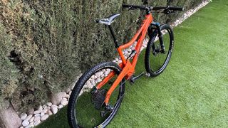 Orange Segment 29 2015 Talla L