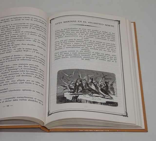 EL CAPITAN HATTERAS. JULES VERNE. 2 TOMOS.