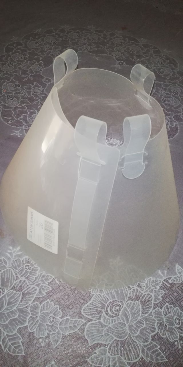 Collar Isabelino Perro talla 20 Hecho en España